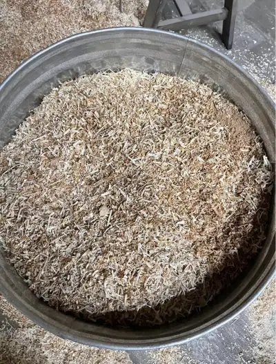 Solid Wood shavings off my planer/lathe Mostly cedar pine and maple mixed. 5$ a large garbage bag.