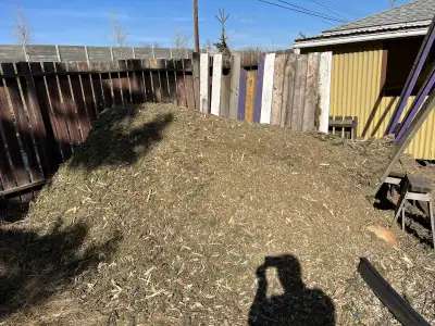 BLUESPRUCE MULCH, View more