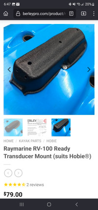 Berley pro Raymarine transducer mount 