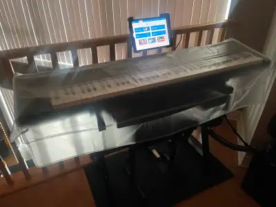 ROLAND RD 2000 -PYLE “Z “ Stnd- MOTU M4, View more