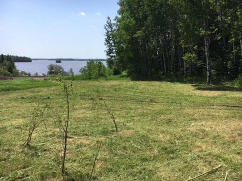 Co Ownership 100 acres Land on Frederick House River Land