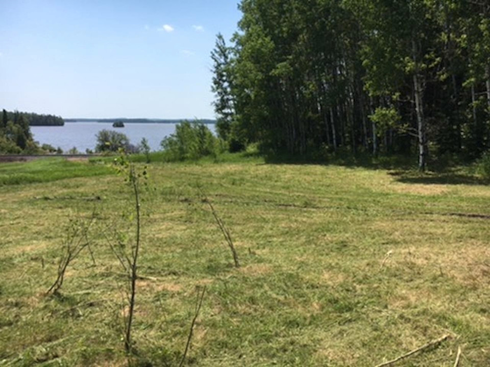 Co Ownership 100 acres Land on Frederick House River Land