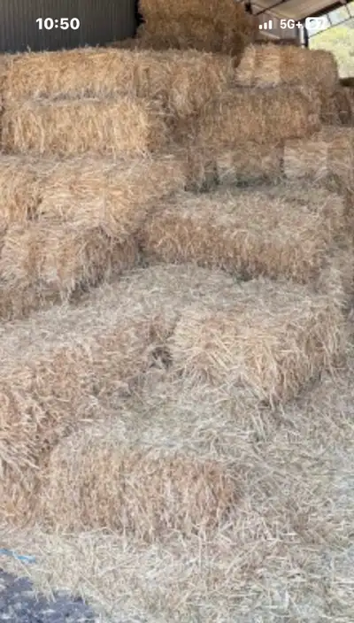 Small straw bails for sale, View more