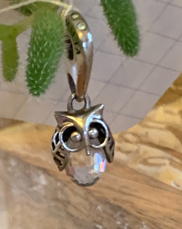 Chamilia "Wise Owl" Swarovski Crystal & Sterling Silver Charm in Jewellery & Watches in Winnipeg