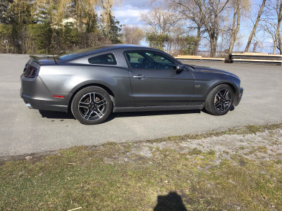 2014 Mustang Club of America Edition