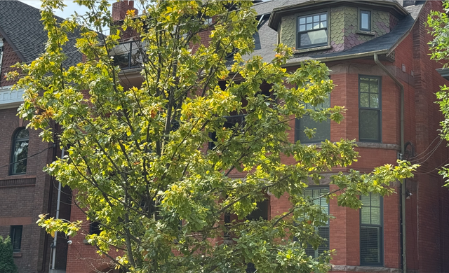 Toronto Home Rental - Gorgeous Furnished 4 Bedroom ALL INCLUSIVE