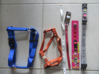 Dog's accessories,  $5 each