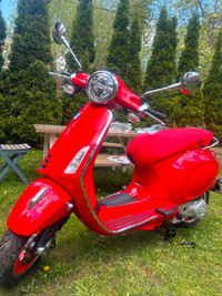 Vespa primavera 50 - Red Edition - modèle 2023