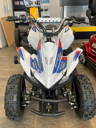 Mini 4 roues électrique pour enfant 36 volts avec une force de moteur de 500W . Muni d'un contrôle p...