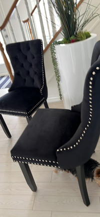 Black Velvet, Nailhead Chairs, Two, New