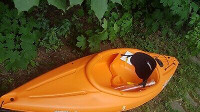 o SunDolphin Kayak NEUF 10pi 10ft NEW