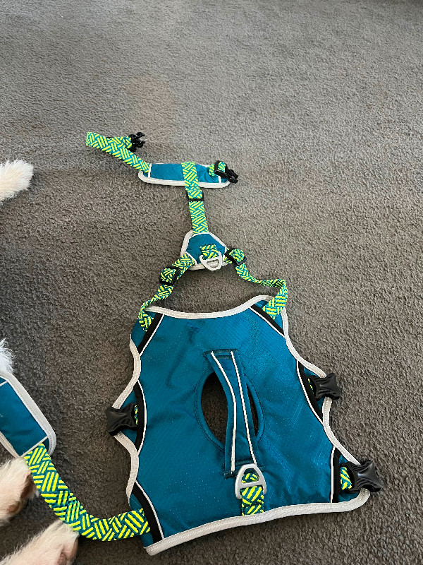 Dog harness in Accessories in North Bay