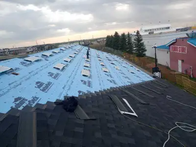 EXPERIENCED ROOFING SHINGLER LOOKING FOR WORK( not hiring), View more