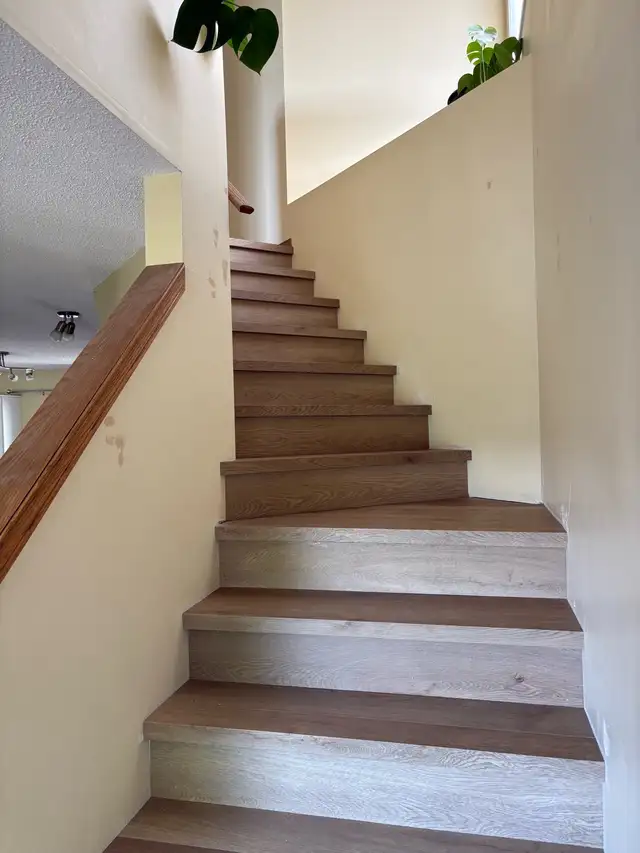 Flooring installation professional 64037116222721122