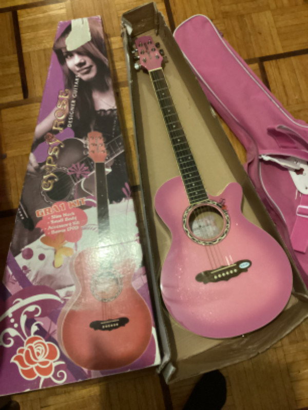 GYPSY ROSE アコースティックギター - アコースティックギター