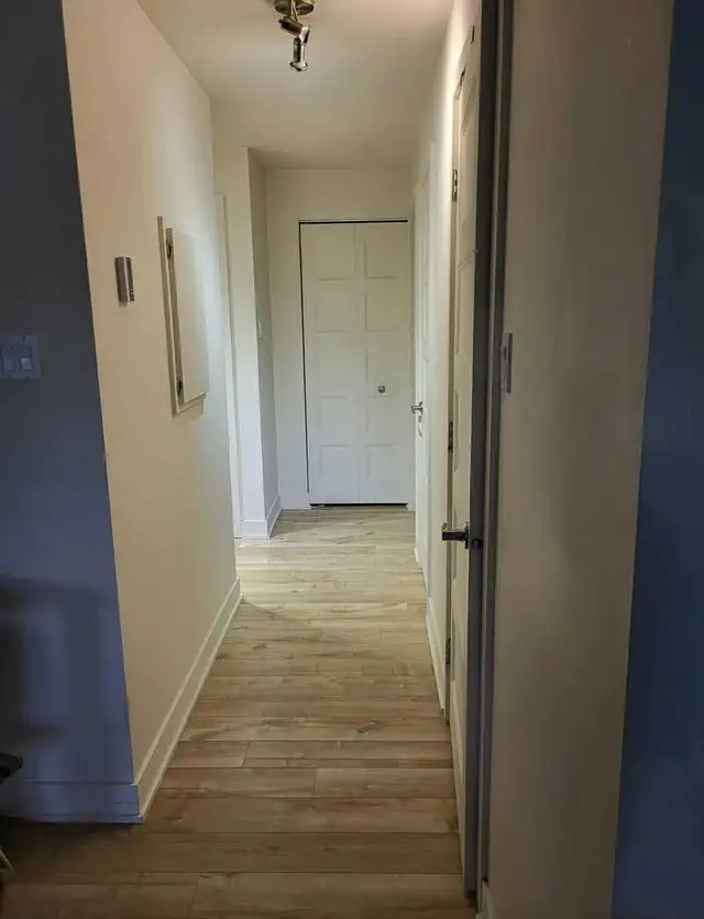 Chambre à louer - recherche coloc in Room Rentals & Roommates in West Island - Image 6