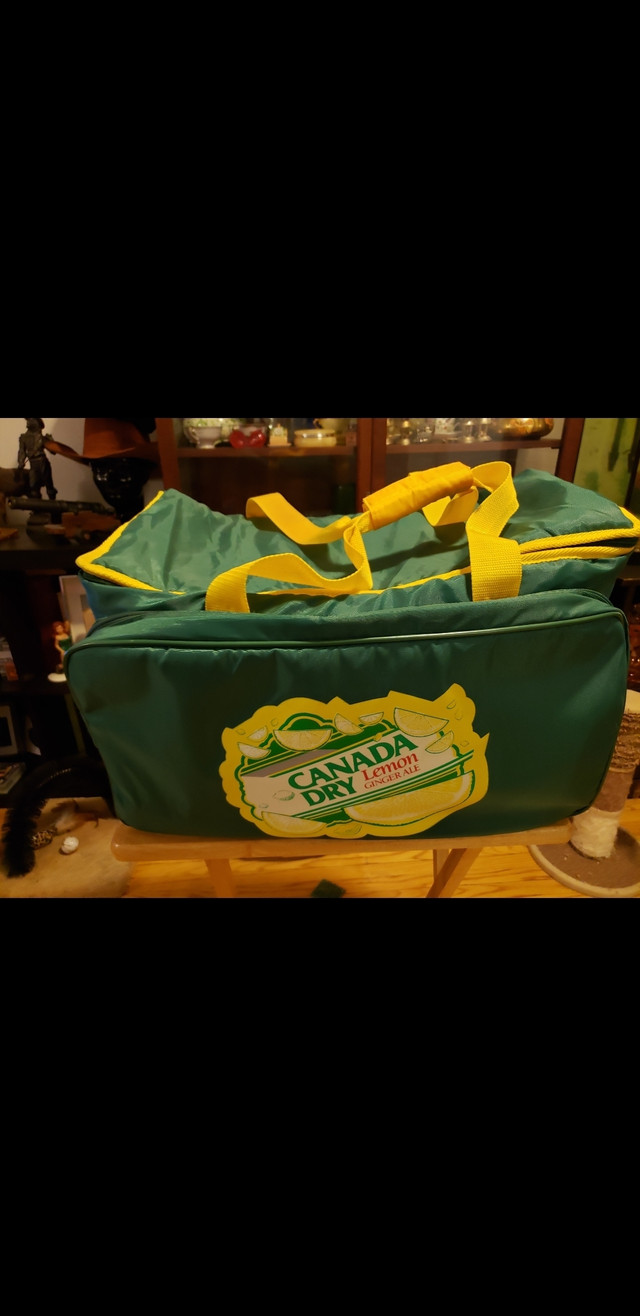 Canada Dry Ginger Ale Insulated Food Bag Great for Food Delivery in BBQs & Outdoor Cooking in Hamilton