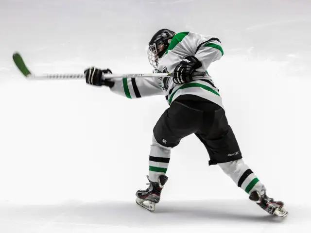 Adult Co-Ed Recreational Hockey League in Oakville in Sports Teams in Oakville / Halton Region - Image 4
