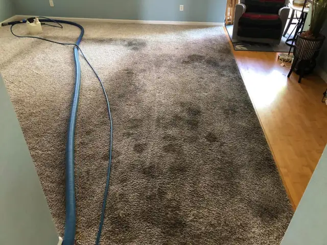 Carpet And Sofa Cleaning In Affordable Price in Rugs, Carpets & Runners in Oshawa / Durham Region - Image 3