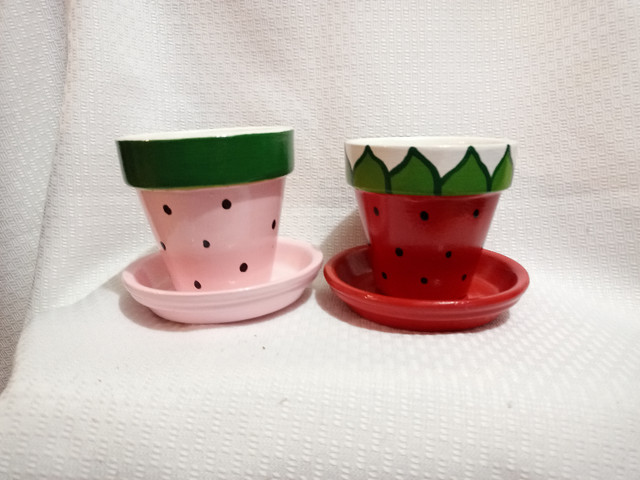 Watermellon &amp; Strawberry Cactus Planters *Handmade! in Home Décor & Accents in Mississauga / Peel Region