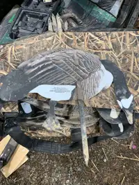 Real Geese Silhouette Decoys