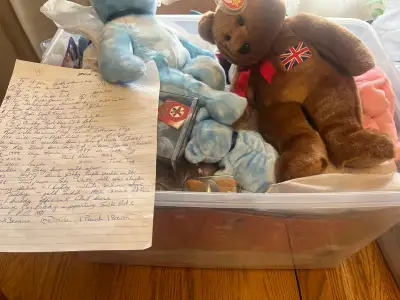 Collection of Beanie Babies, View more