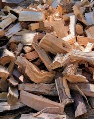 Dry Campfire wood494961951486126081