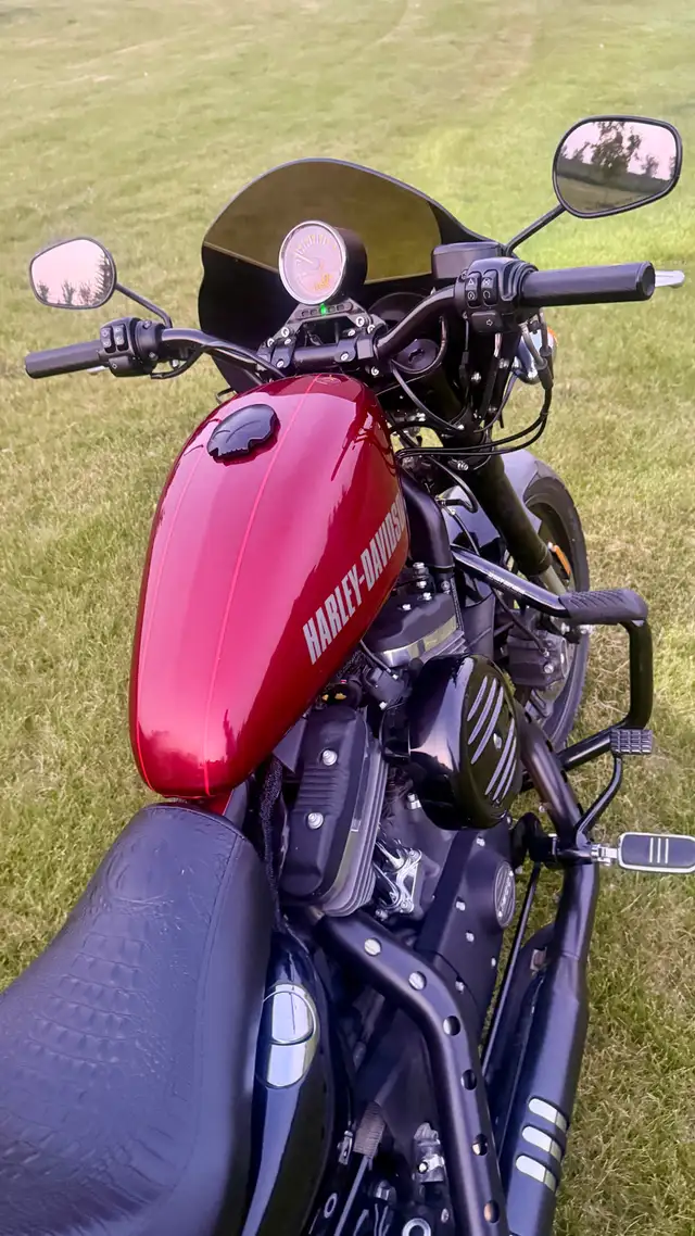2017 Harley Davidson Roadster in Street, Cruisers & Choppers in Edmonton - Image 5
