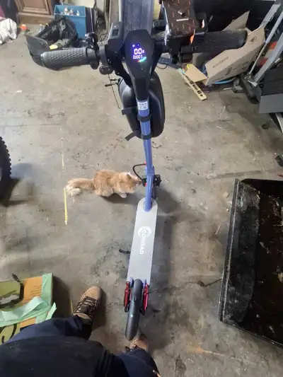 Unused 500 watt 36v scooter model EC9 Battery lasts around 30km