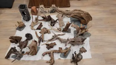 Aquarium Driftwood - unique and various sizes, View more
