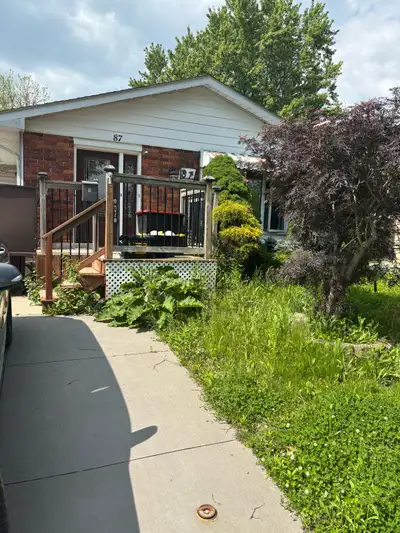 House for rent