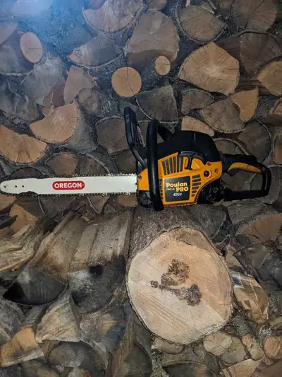 Poulan Pro 42 cc chainsaw. It works well and has a good 18" bar and chain on it. I used it as my spa...