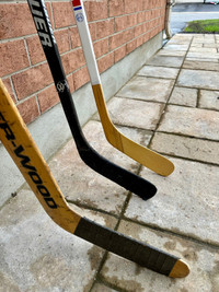 3 hockey sticks, 2 adult lefties and a goalie stick.