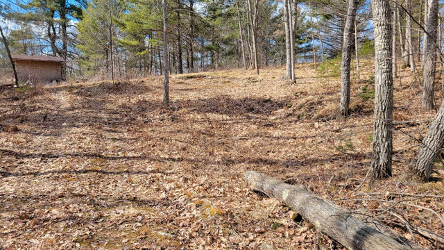 Four acres get a way in Land for Sale in Kingston - Image 4
