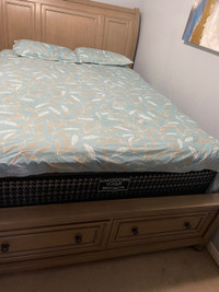 Queen Sleigh Bed (almost new) with Matress