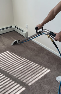 STEAM CARPET CLEAN