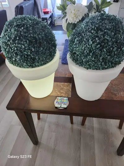 Pot a fleurs avec plusieurs couleurs avec manette