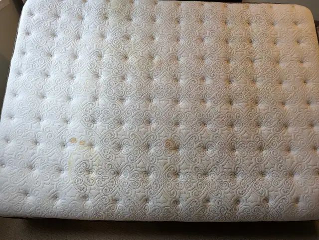 Sealy Posturepedic Optimum Mattress and bed frame- full in Beds & Mattresses in Oshawa / Durham Region - Image 5