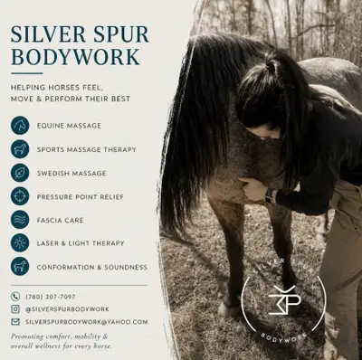 Equine Massage & Bodywork , View more