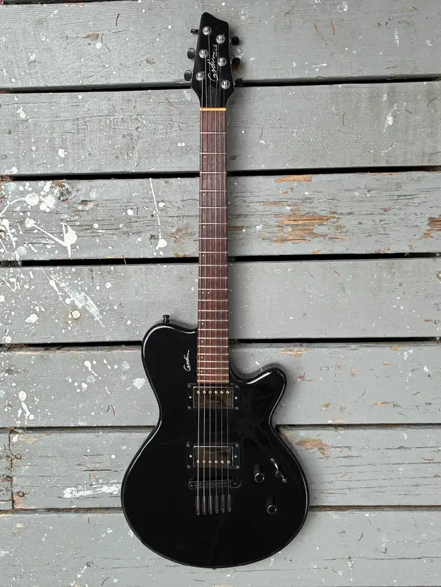 *** Godin LG ***