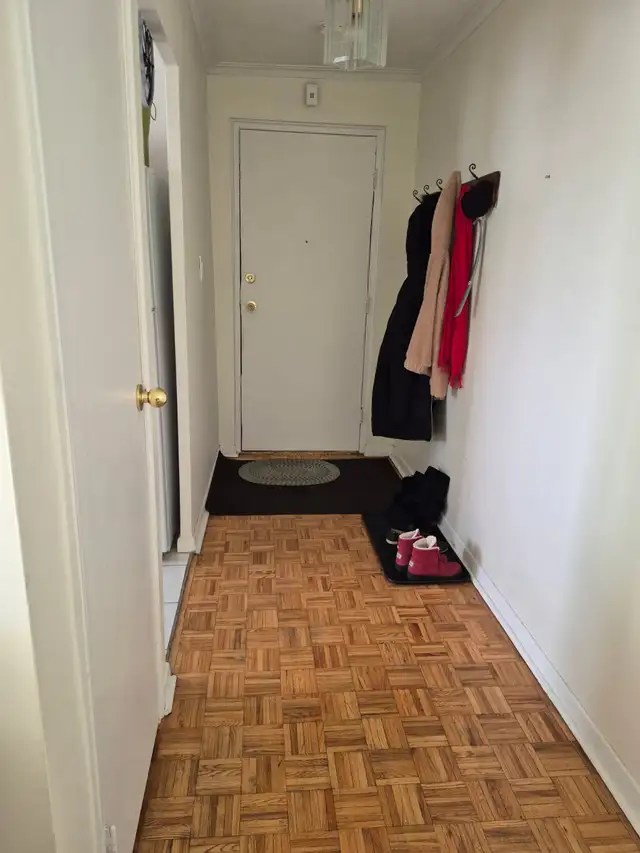 Looking for a roommate