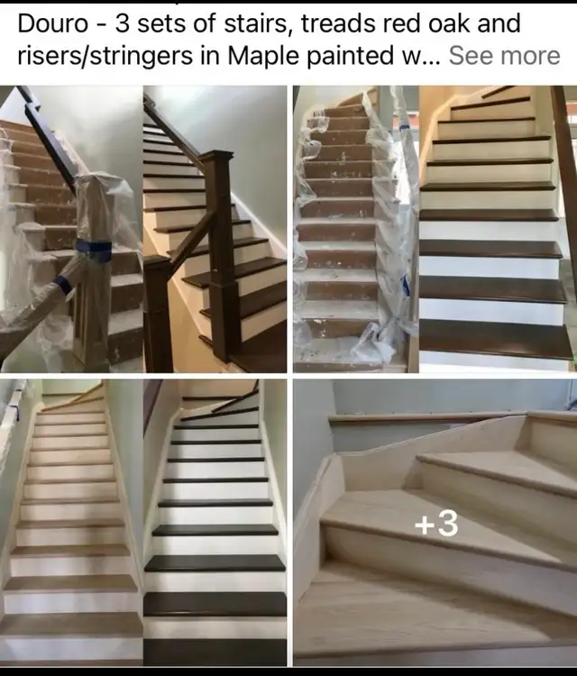 pro Painter - Semi Retired 531194423207546882