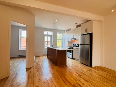 GRAND LOGEMENT RÉNOVÉ À LOUER 3 CH, MERCIER HOCHELAGE