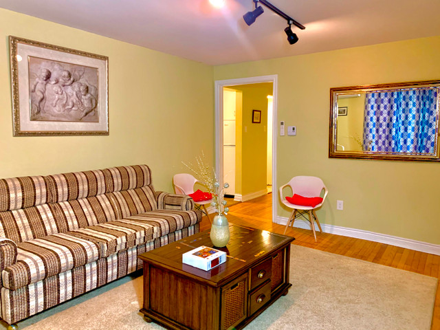 Beautiful 2-bedroom furnished apartment only 5 min walk from Cit in Long Term Rentals in Saint John