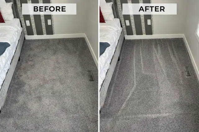  Professional Cleaning Services533461935504773126