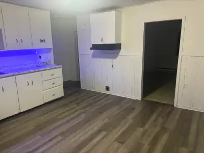 À St-Francois-du-Lac grand 4 1/2 avec deux chambres fermées situé en haut d’un duplex. 2 grands balc...