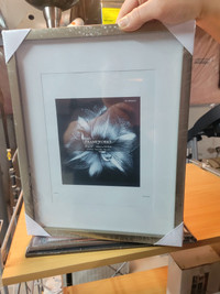 NEW- Picture Photo Frames - Various sizes and styles. School Gra