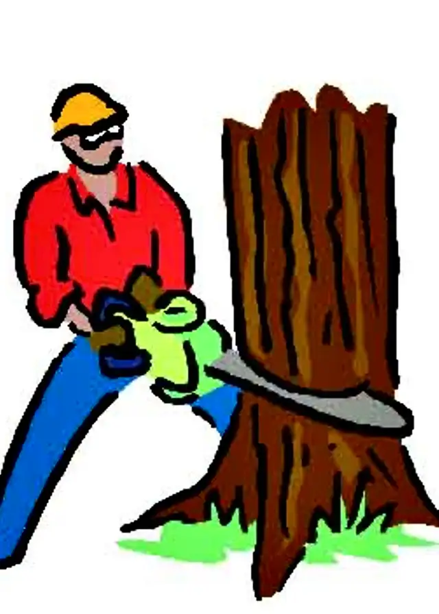 CARM'S TREE SERVICES628632336500501220