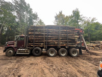 Clean firewood logs 