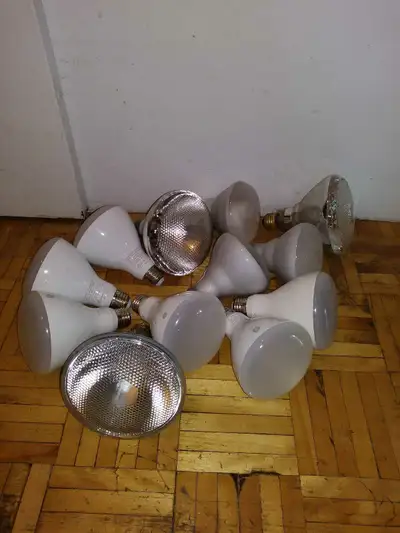 flood light bulb,LED,halogen,candescent,GE,RONA, View more